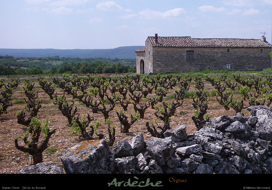 20100516_fermepresorgnac_devesdubosquet
