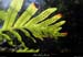 20160419_boisorgnac