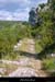 20010720_rochecolombe_canyon_chemin