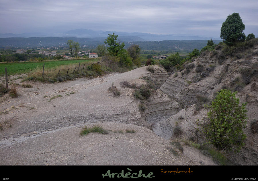 20101010_sauveplantade_pradet