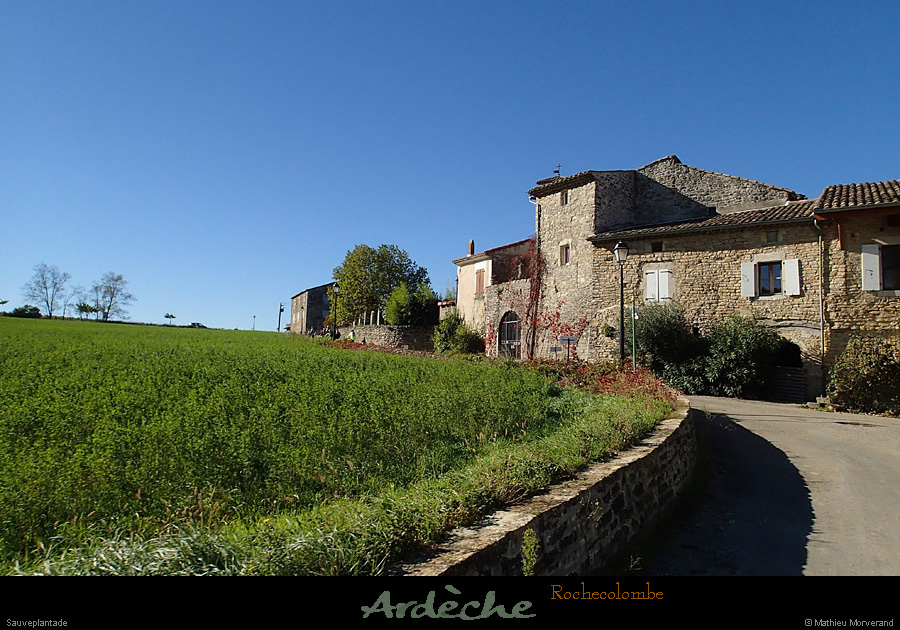 20131111_rochecolombe_sauveplantade_parest