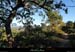 20131111_rochecolombe_sentierdaudegrin