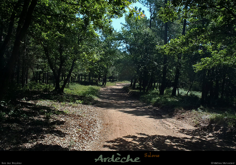 20130725_salavas_boisdesbruyeres