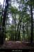 20100528_salavas_boisdesbruyeres3