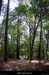 20100528_salavas_boisdesbruyeres4