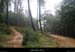 20141005_salavas_boisdesbruyeres