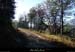 20161208_pistebrugieres