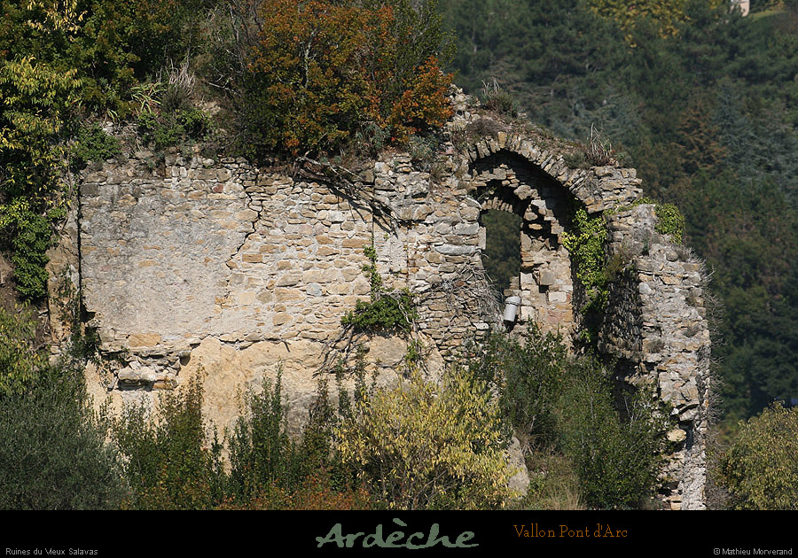 20081011_vxsalavas