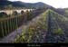 20090406_sampzon_vxpontcferlabastide4