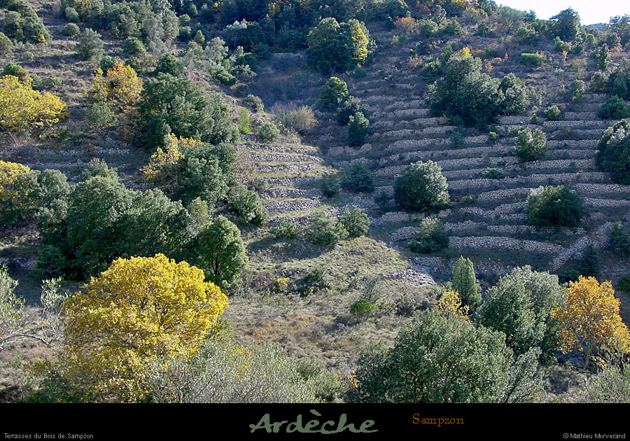 20011125_sampzon_anciennesterrasses_2