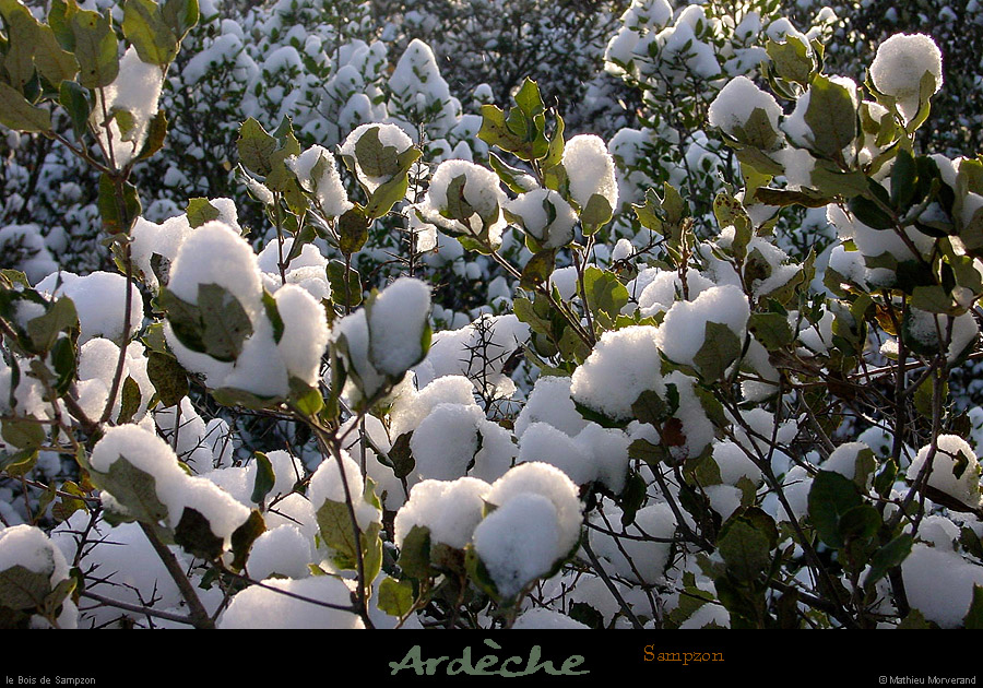 20011214_sampzon_boissouslaneige_04