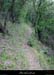 20010808_peyrerol_chemin_1