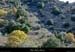 20011125_sampzon_anciennesterrasses_2