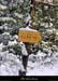 20011214_sampzon_bois_panneaugr4