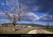 20110319_stmauriceibie_lessalelles2