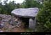 20100528_vagnas_dolmendechampagnac