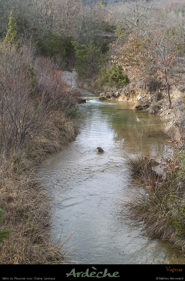 20130310_vagnas_champlacloque_rieussec1
