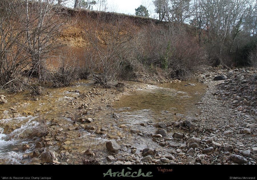 20130310_vagnas_champlacloque_rieussec3