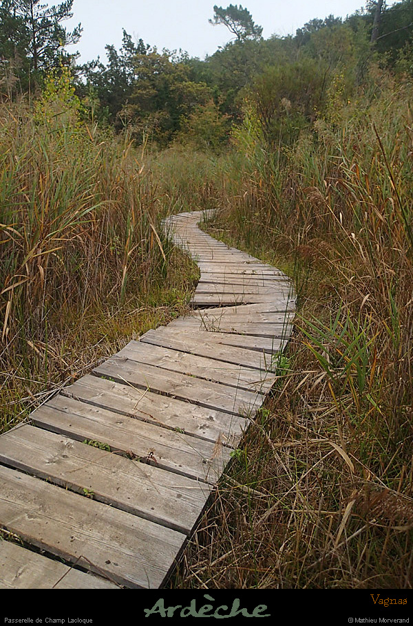 20141005_077