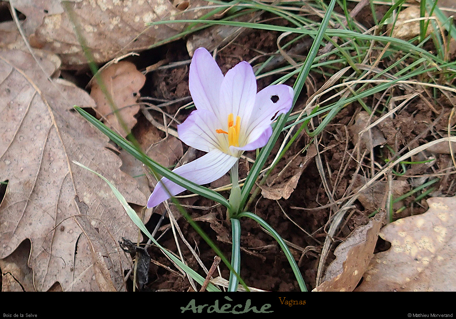 20160131_027