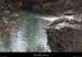 20130310_vagnas_gourdefabrege2