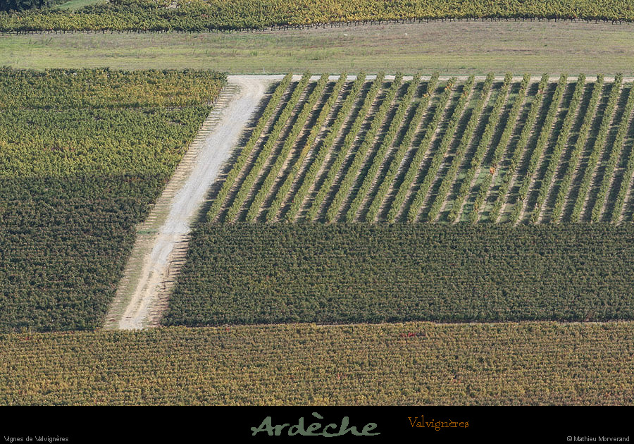 20081004_vignesvalvigneres1
