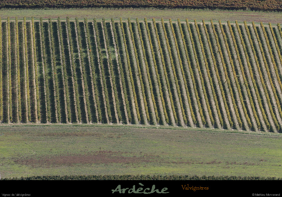 20081004_vignesvalvigneres2