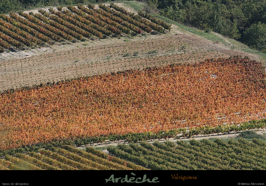 20081004_vignesvalvigneres4