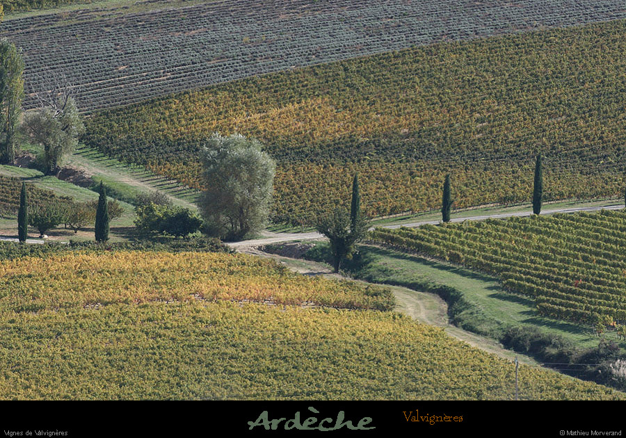 20081004_vignesvalvigneres5