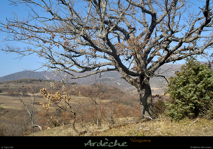 20130303_valvigneres_lafigeyrolles