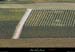 20081004_vignesvalvigneres1