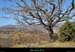 20130303_valvigneres_lafigeyrolles