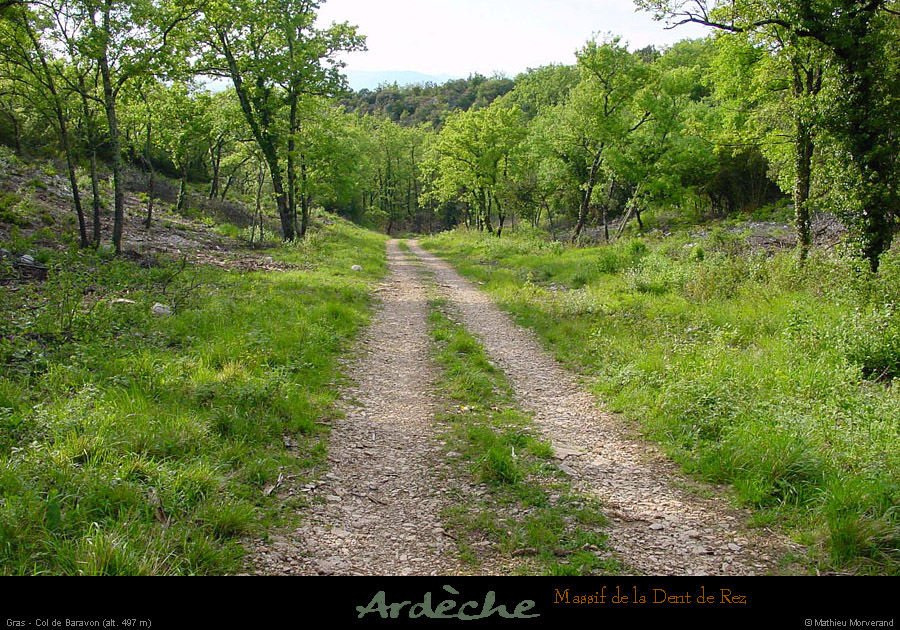 20010503_coldebavaron_chemin