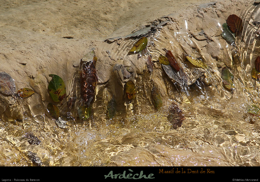 20130526_lagorce_baravon_ruisseau011