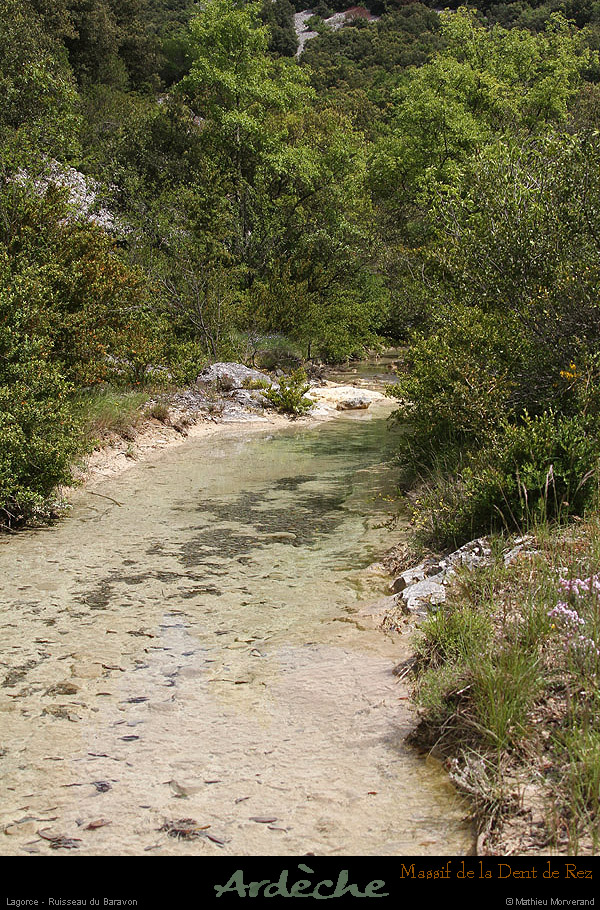 20130526_lagorce_baravon_ruisseau02