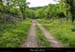20010503_coldebavaron_chemin