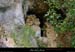 20020414_baravon_escoussas_grotte_entree