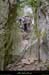 20020414_gorgesdelecharasson_sentier_4