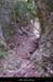 20020414_gorgesdelecharasson_sentier_6