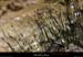 20130526_lagorce_baravon_ruisseau008