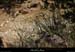 20130526_lagorce_baravon_ruisseau009