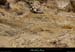 20130526_lagorce_baravon_ruisseau012