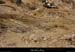 20130526_lagorce_baravon_ruisseau013