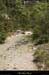 20130526_lagorce_baravon_ruisseau02
