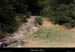 20130526_lagorce_baravon_ruisseau04