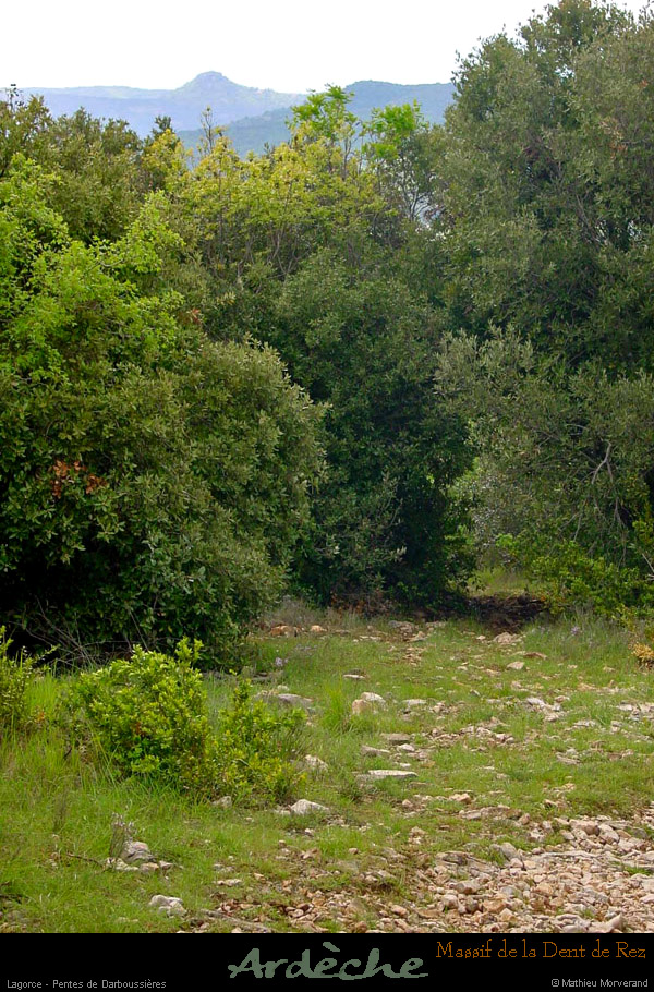 20010503_darboussieres_sentier_4