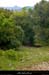 20010503_darboussieres_sentier_4