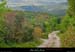 20010503_darboussieres_sentier_5