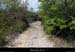 20120418_lagorce_boissauvage_pistededarboussieres2