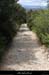 20120418_lagorce_boissauvage_pistededarboussieres4
